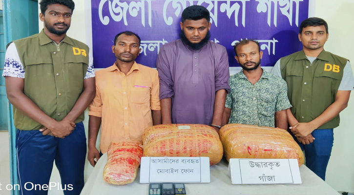 পাবনায় ১৯ কেজি গাঁজাসহ তিনজন গ্রেফতার