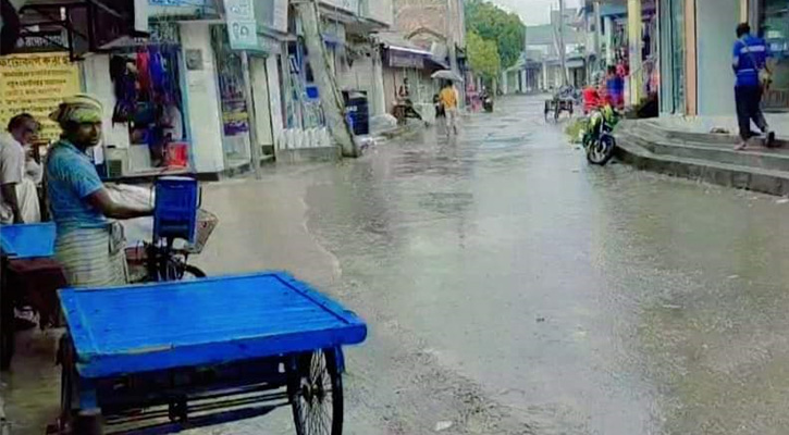 ভাঙ্গুড়ায় দীর্ঘদিন পর বৃষ্টিতে কৃষকের মুখে হাসি