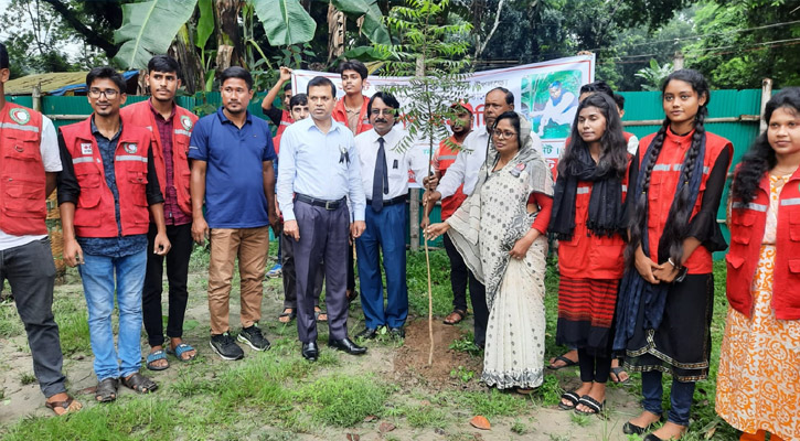 জাতীয় শোক দিবস উপলক্ষে লালমনিরহাট রেড ক্রিসেন্ট সোসাইটির বৃক্ষরোপণ