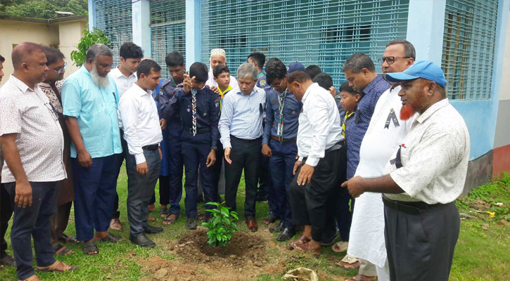 রাণীশংকৈলে জেলা প্রশাসকের বৃক্ষ রোপন ও গাছের চারা বিতরন