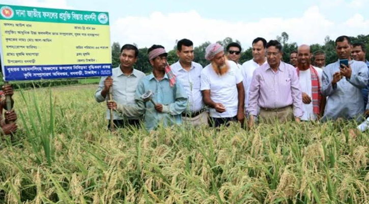 ব্রি-৯৮ আউশ ধান খাদ্য নিরাপত্তায় বিরাট ভূমিকা রাখবে: কৃষিমন্ত্রী