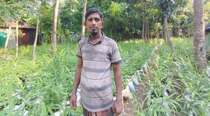 বস্তায় আদা চাষ করে তাক লাগিয়ে দিলন হালুয়াঘাটের সুমন