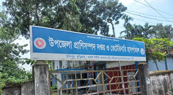 উলিপুরে ভেটেরিনারি সার্জন পদটি ২বছর ধরে শূন্য!