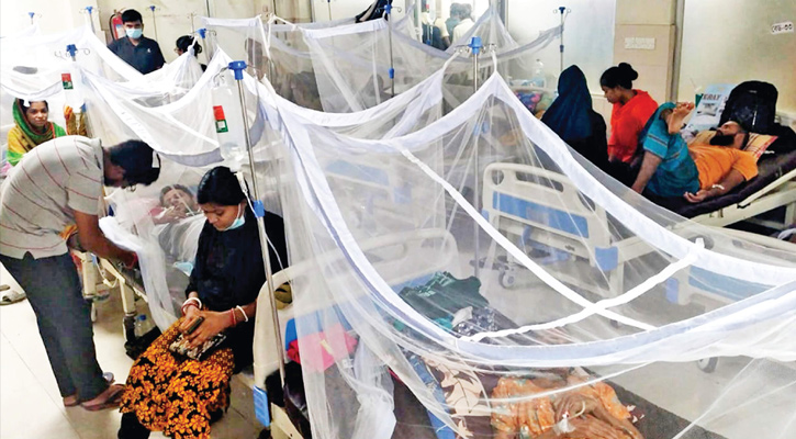 ডেঙ্গুতে নতুন করে ১৪ জনের মৃত্যু, হাসপাতালে ভর্তি ২৪২৫