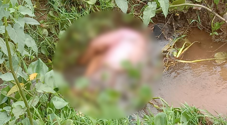 শেরপুরের ঝিনাইগাতীতে নিখোঁজ অটোচালকের মরদেহ উদ্ধার