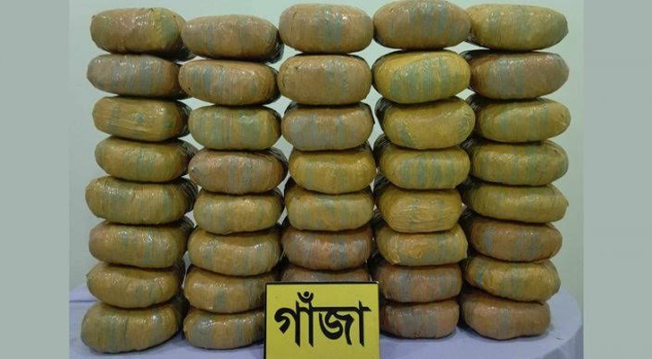 দুই মণ গাঁজাসহ গ্রেফতার ৫