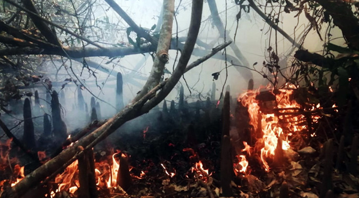 সুন্দরবনে অগ্নিকাণ্ডের ঘটনা তদন্তে কমিটি গঠন