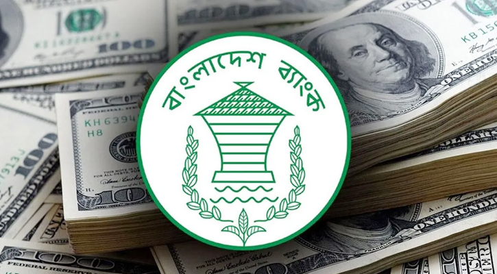 পাচার হওয়া টাকার তদন্তে নিরীক্ষক নিয়োগ দিয়েছে বাংলাদেশ ব্যাংক