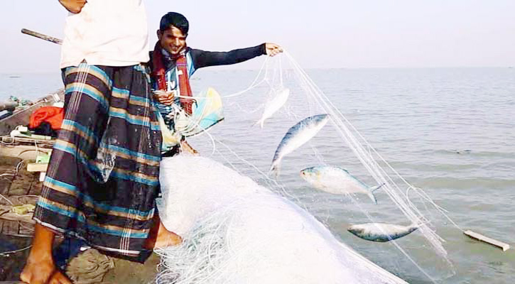 মা ইলিশ রক্ষায় আজ থেকে শুরু হচ্ছে অভিযান