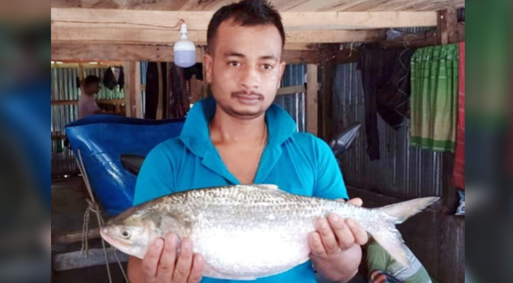 কুয়াকাটায় একটি ইলিশ বিক্রি হয়েছে ৭ হাজার টাকা