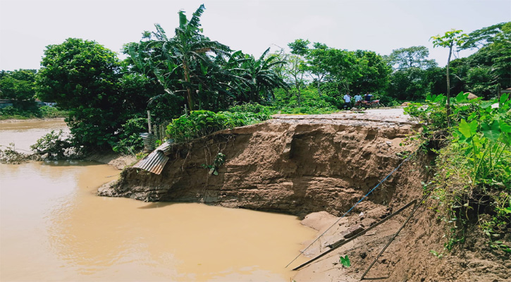 নালিতাবাড়ীতে অভ্যাহত নদী তীর ভাঙ্গনে বিলীন বিস্তৃর্ণ এলাকা