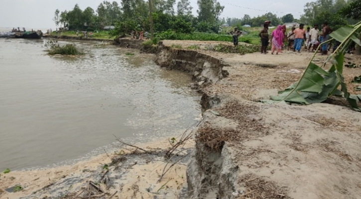 শাহজাদপুরে নদী ভাঙনে ঘর বাড়ী হারানোদের নেই ঈদ আনন্দ