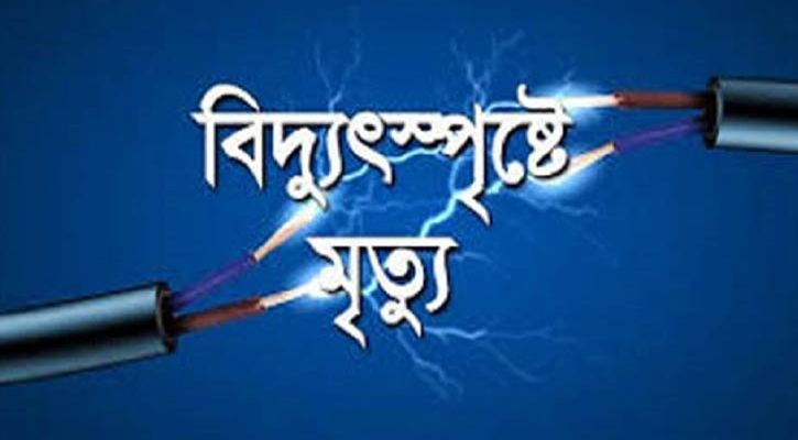 রাজবাড়ীতে বিদ্যুৎস্পৃষ্টে মা ও মেয়ের মৃত্যু