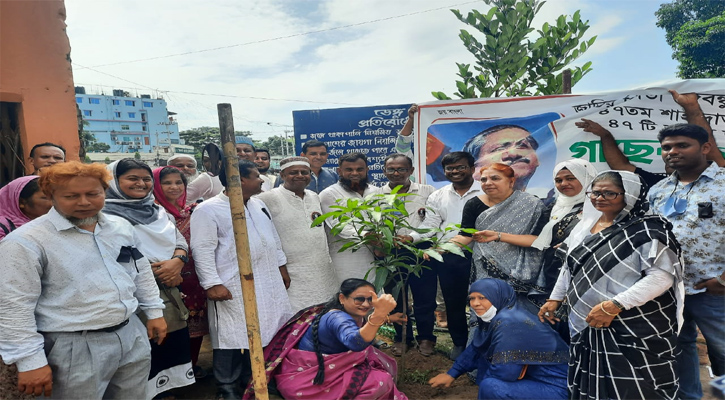 বঙ্গবন্ধুর শাহাদাত বার্ষিকীতে ব্রাহ্মণবাড়িয়ায় চারাগাছ বিতরণ 