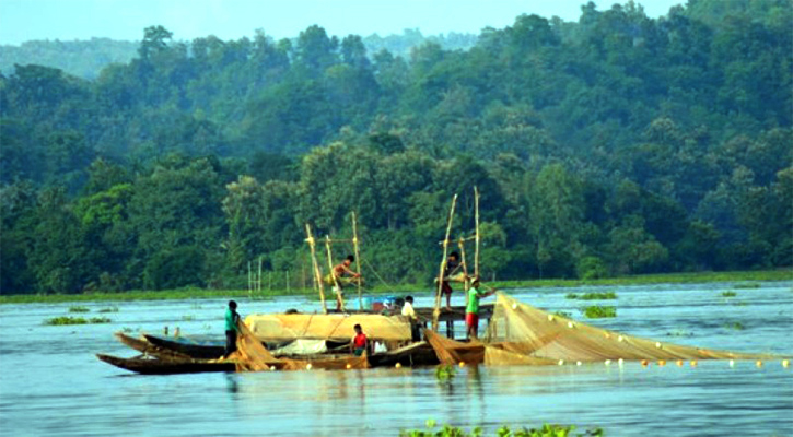 ১৭আগষ্ট মধ্যরাত থেকে কাপ্তাই হ্রদে মাছ শিকার শুরু