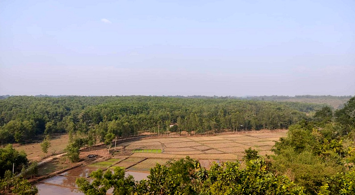 এ যেন সবুজের স্বর্গরাজ্য