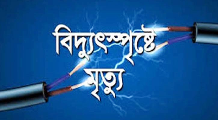 নান্দাইলে বিদ্যুৎস্পৃষ্টে মৎস্য খামারির মৃত্যু
