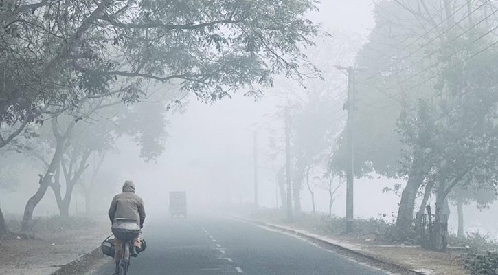 মাঘের শীতে কাঁপছে দেশ,বৃষ্টির মতো পড়ছে কুয়াশা