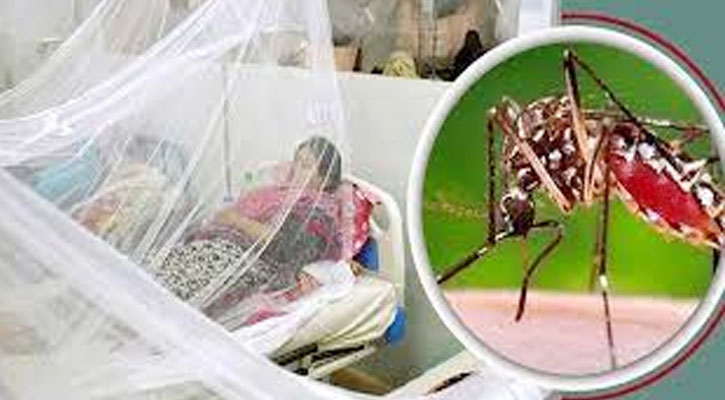 ডেঙ্গুতে ৮ জনের মৃত্যু, হাসপাতালে ভর্তি ২৮৮৯