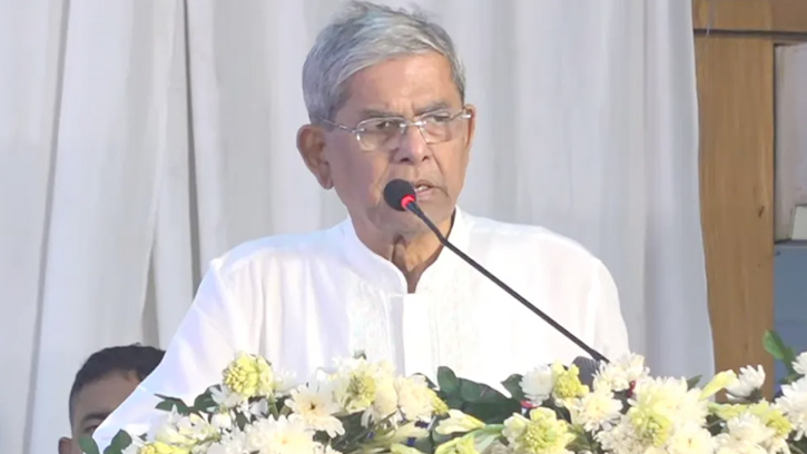 যারা ১০০ গাড়ি নিয়ে ক্যাম্পেইনে যায়, তারা কী করবে আমরা জানি: মির্জা ফখরুল