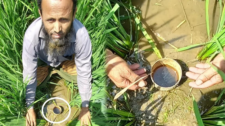 উল্লাপাড়ায় ধান আবাদে পানি সেচে এডাব্লিউডি প্রযুক্তি