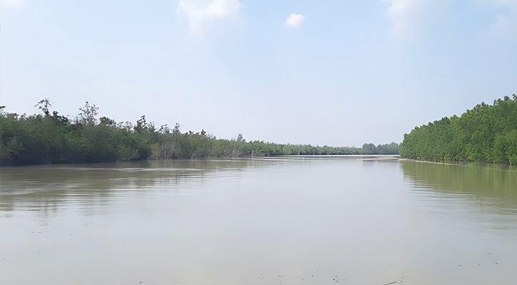 তিন ফুট বেড়েছে সুন্দরবনের নদ-নদীর পানি