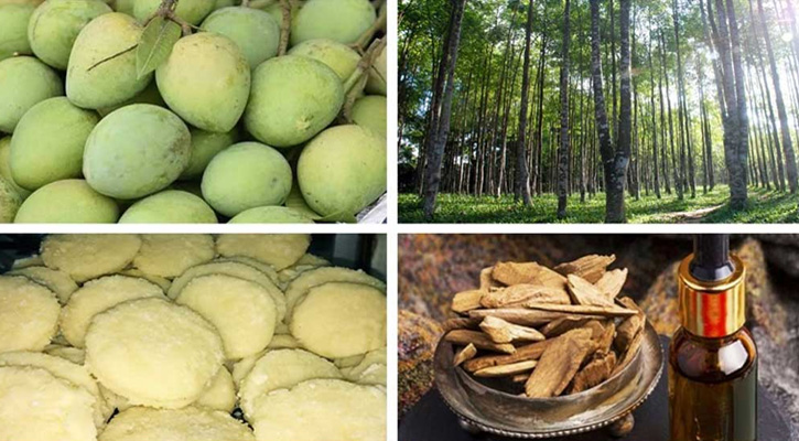 জিআই অনুমোদন পেল আরও ৪ পণ্য