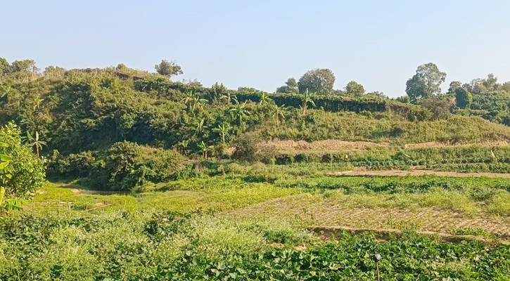 তুমব্রু সীমান্তে আবার গোলাগুলি, আতঙ্কে স্থানীয়রা