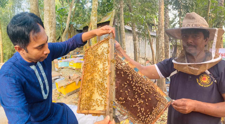 মধু চাষে স্বাবলম্বী শরীয়তপুরের শাহীদুল ও ওয়াহিদ