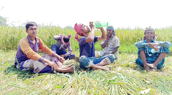 মৌসুমের সব রেকর্ড ভেঙে সর্বোচ্চ তাপমাত্রা চুয়াডাঙ্গায়