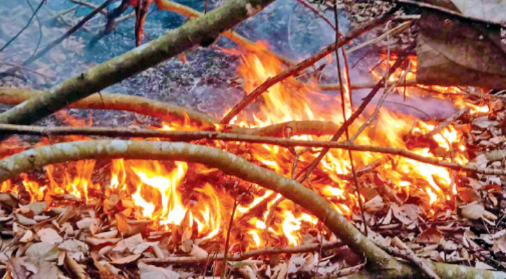 পুড়ছে সুন্দরবন: দুই কিলোমিটার এলাকা ছড়িয়ে পড়ছে আগুন