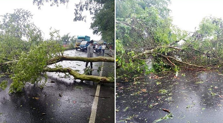 গাছ পড়ে ঢাকা-চট্টগ্রাম মহাসড়কের চট্টগ্রামমুখী লেনে যান চলাচল বন্ধ