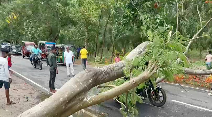 ঘূর্ণিঝড় রেমাল: মেরিন ড্রাইভে উপড়ে পড়েছে গাছ