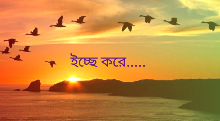 আমার ইচ্ছে করে