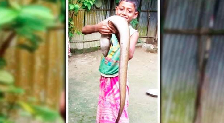 কুড়িগ্রামে নদীতে ধরা পড়লো বিরল প্রজাতির ইলফিশ