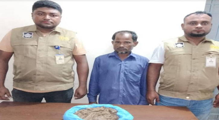 কিশোরগঞ্জ দানাপাটুলী থেকে গাঁজা সহ এক মাদক ব্যবসায়ী গ্রেফতার