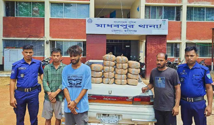 মাধবপুরে বিপুল পরিমান গাঁজাসহ-৩ মাদক ব্যবসায়ী গ্রেপ্তার