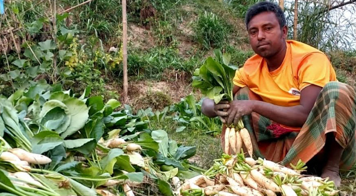 উল্লাপাড়ায় মুলা পাইকারি পাচ টাকা কেজি