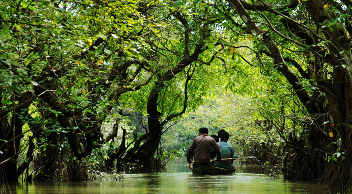 বর্ষায় বনে-জঙ্গলে যেখানেই যান, সঙ্গে রাখতে ভুলবেন না