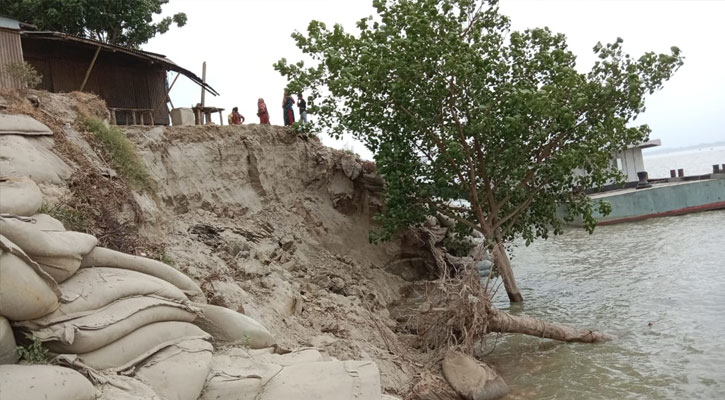 ভাঙনমুখে দৌলতদিয়া ৬নং ফেরিঘাট ও সড়ক,  আতংকে এলাকাবাসী