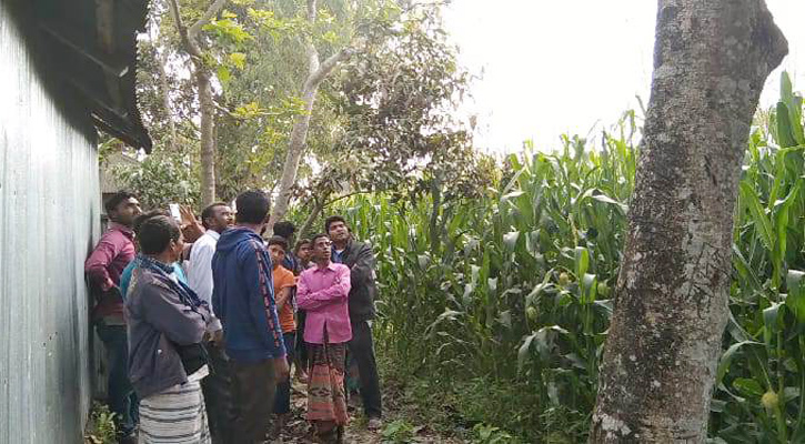ঝগড়া করে সন্তান নিয়ে ঢাকায় স্ত্রী, ফাঁস নিলেন যুবক
