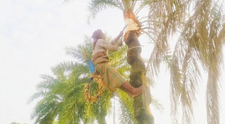ঋতুচক্রের লীলায় প্রকৃতিতে শীত এসেছে