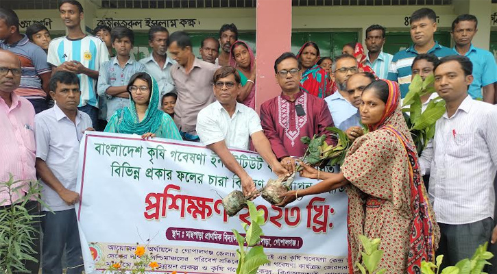 কোটালীপাড়ায় বিনামূল্যে ফলদ বৃক্ষ বিতরণ