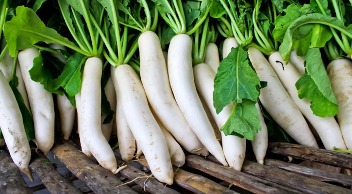 মুলার যত উপকারিতা