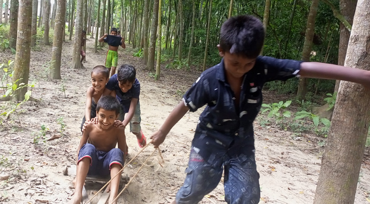 হারিয়ে যাচ্ছে গ্রামীণ ঐতিহ্যের খেলা