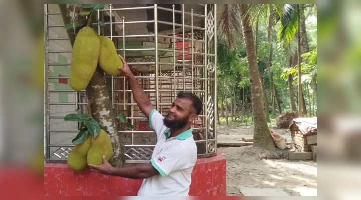 বারান্দার ভেতরেই কাঁঠাল গাছ!