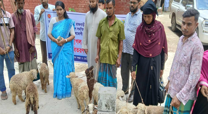 চরভদ্রাসনে প্রাণিসম্পদ অধিদপ্তরের উদ্যোগে দুর্যোগপ্রবণ এলাকায় গবাদিপশু  বিতরণ
