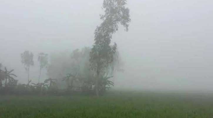 পঞ্চগড়ে বেড়েছে শীতের প্রকোপ, তাপমাত্রা নেমেছে ১২ ডিগ্রিতে