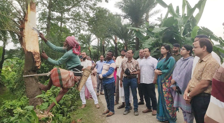 যশোরে জিআই পণ্য খেজুর গুড় সংগ্রহে গাছ কাটার উদ্বোধন