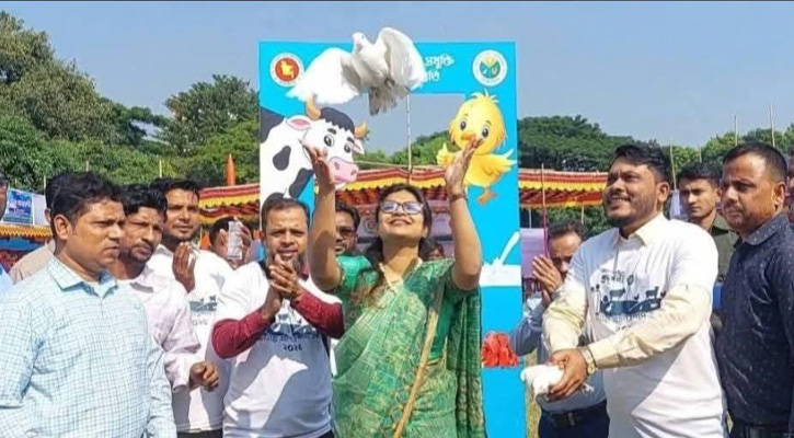 তিতাসে জাতীয় প্রাণিসম্পদ সপ্তাহ উপলক্ষে বর্ণাঢ্য র‍্যালী ও মেলা উদ্বোধন